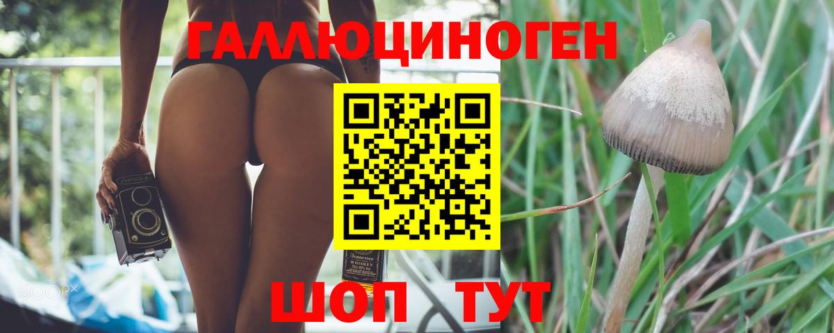 Буйнакск  Галлюциногенные грибы Psilocybe  Галлюциногенные грибы ЛСД  Вход с VPN 